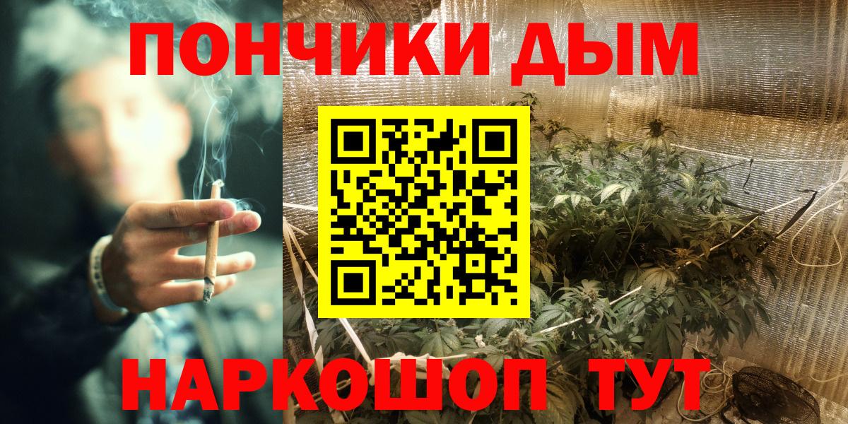 Канабис Bruce Banner  Канабис сатива  Конопля гибрид  Вход с VPN  Конопля AK-47  Сатка 