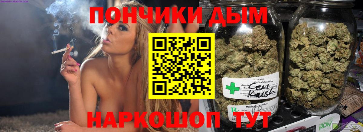 Бошки Шишки ГИДРОПОН Сатка
